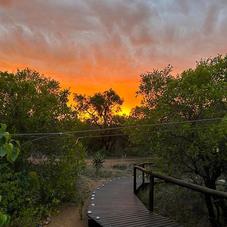 Out In Africa Wildlife Lodge 해먼스크랄 외부 사진