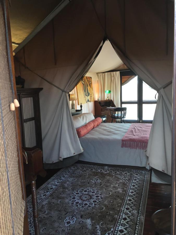 Out In Africa Wildlife Lodge 해먼스크랄 외부 사진