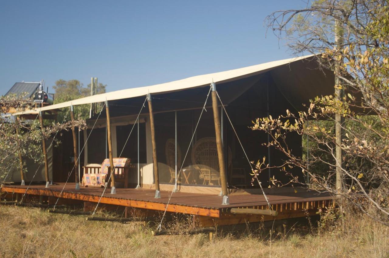 Out In Africa Wildlife Lodge 해먼스크랄 외부 사진