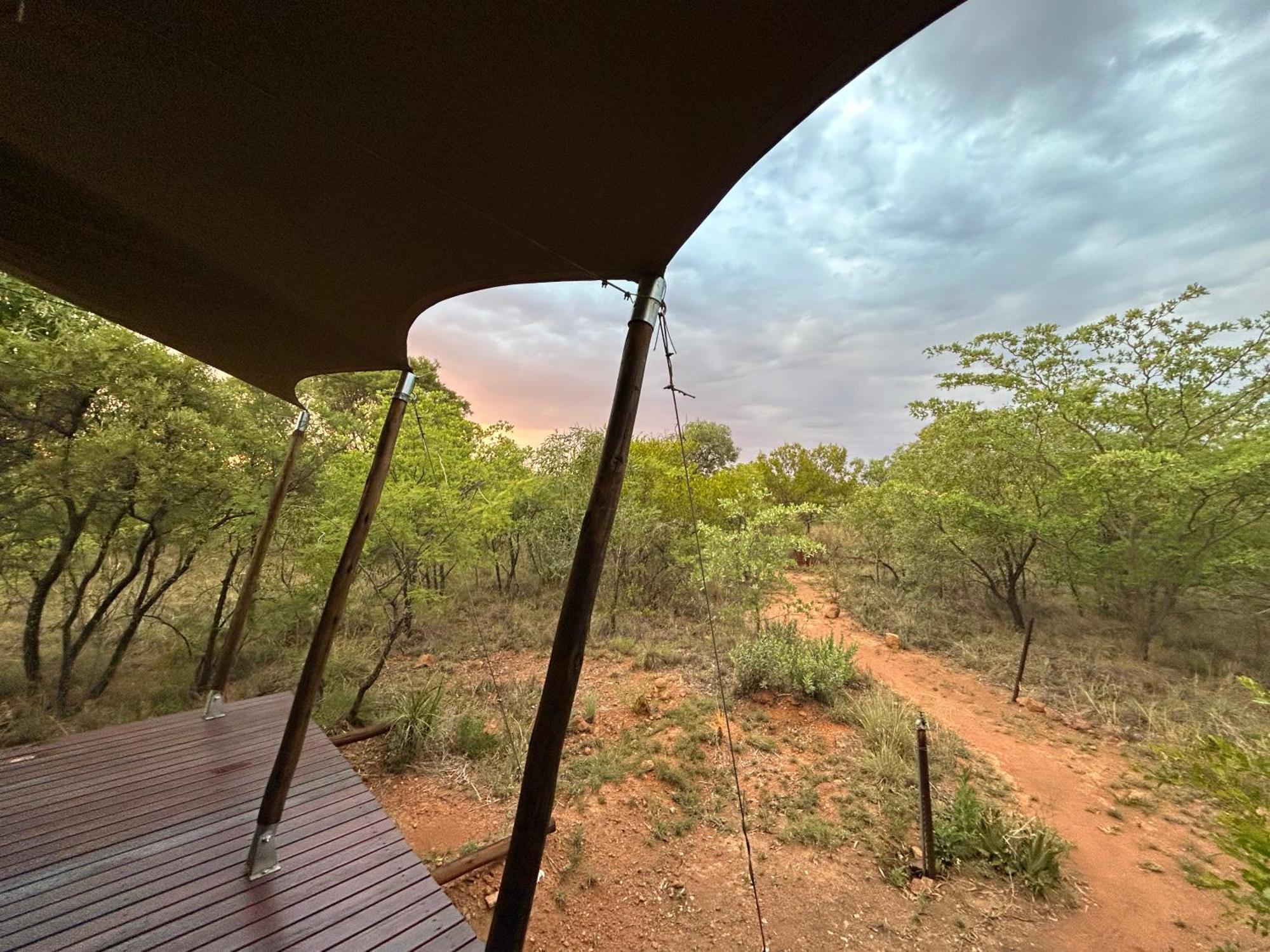 Out In Africa Wildlife Lodge 해먼스크랄 외부 사진